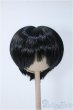 画像1: 8〜9inch/ウィッグ Y-25-01-08-276-YD-ZY (1)