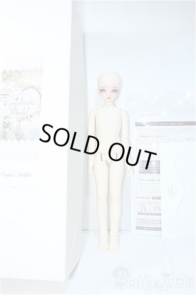 画像4: SDMG/F-62:コーディネートモデル Y-24-08-28-240-YD-ZY (4)