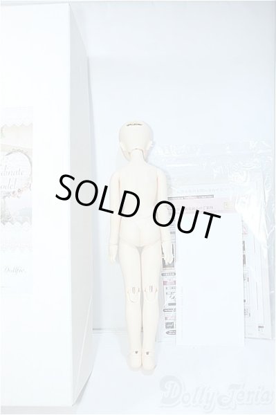 画像5: SDMG/F-62:コーディネートモデル Y-24-08-28-240-YD-ZY (5)