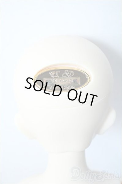 画像6: SDMG/F-62:コーディネートモデル Y-24-08-28-240-YD-ZY (6)