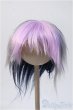 画像1: 9-10inch/ウィッグ Y-25-02-19-204-YD-ZY (1)