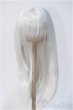 画像1: 8-9inch/ウィッグ：RONSHUKACouture様製 Y-25-02-19-146-YD-ZY (1)