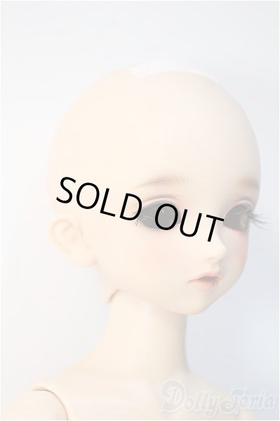 画像2: SDM　コーディネートモデル　Fー33 Y-24-10-16-240-YD-ZY (2)