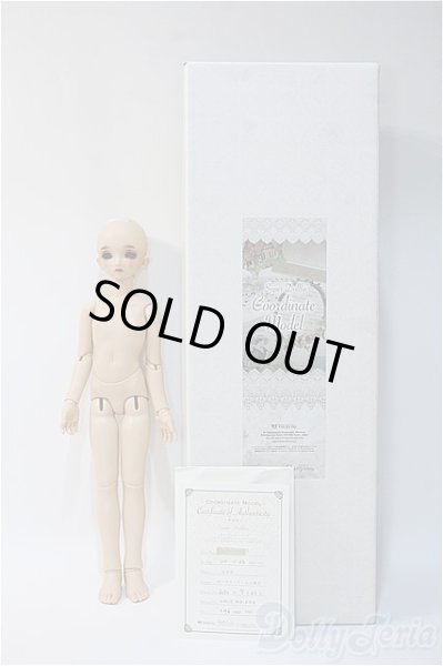 画像4: SDM　コーディネートモデル　Fー33 Y-24-10-16-240-YD-ZY (4)