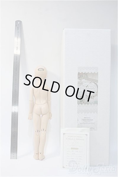 画像5: SDM　コーディネートモデル　Fー33 Y-24-10-16-240-YD-ZY (5)