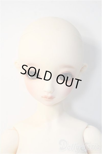 画像6: SD/スタンダードモデル:ニコ Y-24-11-27-292-YD-ZY (6)