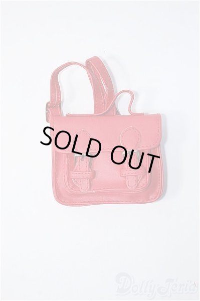 画像1: SD/OF：バッグ Y-25-05-28-239-YD-ZY (1)