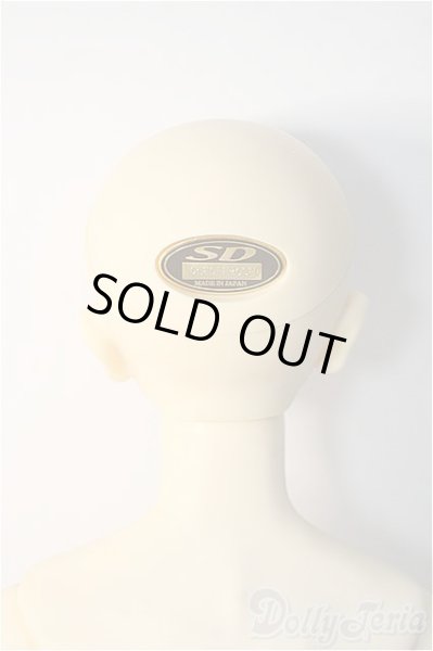 画像7: SDGrBoy/ワンオフ:28番ヘッド(遠夜) Y-25-02-12-299-YD-ZY (7)