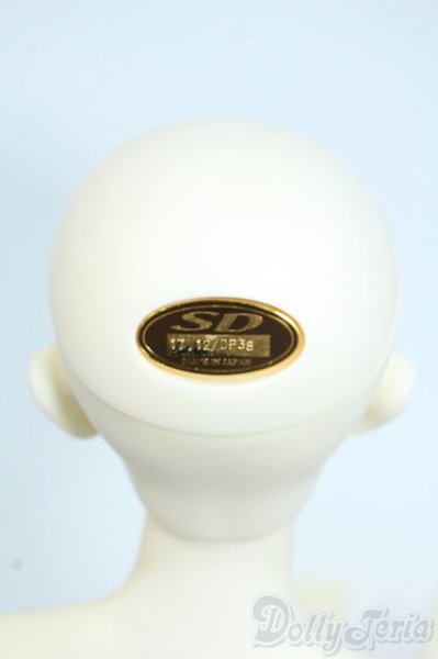 画像6: SDGr/アーニー 星間学寮ver. Y-25-09-03-296-YD-ZY (6)