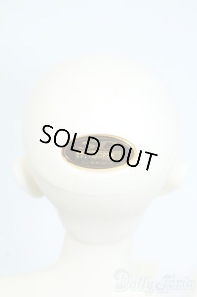 画像6: SDGr/アーニー 星間学寮ver. Y-25-09-03-296-YD-ZY (6)