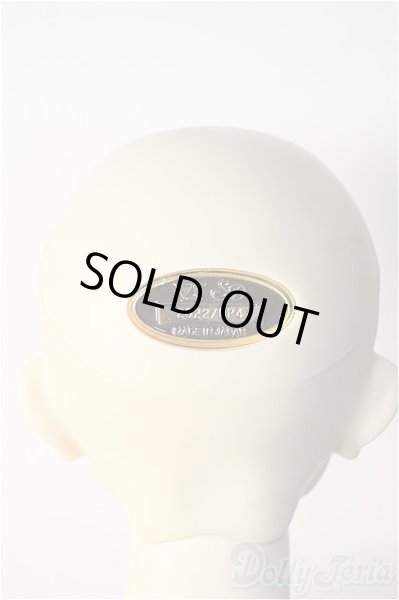 画像4: SD17BOY/マクシミリアン:星間学寮Ver. Y-25-02-19-238-TN-ZY (4)