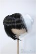画像1: 9inch/ウィッグ Y-25-02-26-239-YD-ZY (1)