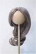 画像1: 9-10inch/ウィッグ Y-25-03-12-057-YD-ZY (1)