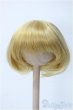 画像1: 6-7inch/ウィッグ Y-25-03-19-024-YD-ZY (1)