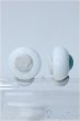 画像2: 17ｍｍ/グラスアイ Y-25-03-19-056-YD-ZY (2)