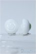 画像2: 18.５mm/グラスアイ Y-25-03-19-064-YD-ZY (2)