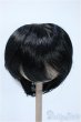 画像1: 8-9inch/ウィッグ Y-25-03-19-160-YD-ZY (1)
