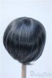 画像2: 8-9inch/ウィッグ Y-25-03-19-151-YD-ZY (2)