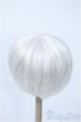 画像2: 8-9inch/ウィッグ Y-25-03-19-156-YD-ZY (2)