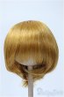 画像1: 9-10inch/ウィッグ Y-25-03-19-159-YD-ZY (1)