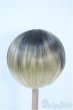画像2: 8inch/ウィッグ Y-25-03-26-193-YD-ZY (2)