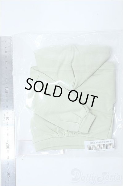 画像2: SD17B/OF:パーカー　MELODY.C様製 Y-25-08-20-160-YD-ZY (2)