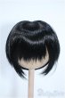 画像1: 8-9inch/ウィッグ Y-25-04-02-065-YD-ZY (1)
