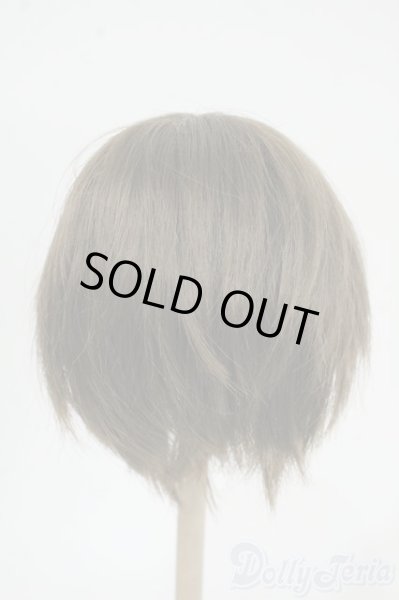 画像2: 8-9inch/ウィッグ Y-25-12-17-175-YD-ZY (2)