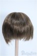 画像2: 6-7inch/ウィッグ Y-25-04-02-061-YD-ZY (2)