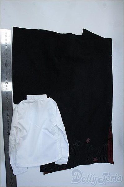 画像2: SDGｒB/OF：VOLKS製WA　MODERN Y-25-04-02-130-YD-ZY (2)