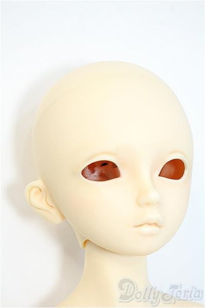 画像2: SDMBOY/フルチョイスF-38 Y-25-04-09-123-YD-ZY (2)