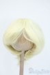 画像1: 8-9inch/ウィッグ Y-25-04-16-063-YD-ZY (1)