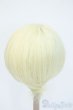 画像2: 8-9inch/ウィッグ Y-25-04-16-063-YD-ZY (2)