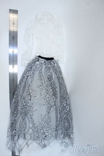 画像2: SDGrG/OF:衣装セット Y-25-04-23-199-TN-ZY (2)