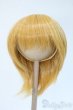 画像1: 9-10inch/ウィッグ Y-25-04-23-217-YD-ZY (1)