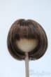 画像1: 9-10inch/ウィッグ Y-25-04-23-228-YD-ZY (1)