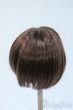 画像2: 9-10inch/ウィッグ Y-25-04-23-228-YD-ZY (2)