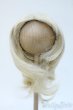 画像1: 9-10inch/ウィッグ Y-25-04-23-230-YD-ZY (1)