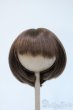 画像1: 9-10inch/ウィッグ Y-25-04-23-231-YD-ZY (1)