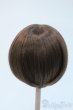 画像2: 9-10inch/ウィッグ Y-25-04-23-231-YD-ZY (2)