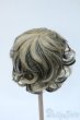 画像2: 9-10inch/ウィッグ Y-25-04-23-237-YD-ZY (2)