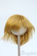 画像1: 9-10inch/ウィッグ Y-25-05-07-230-YD-ZY (1)
