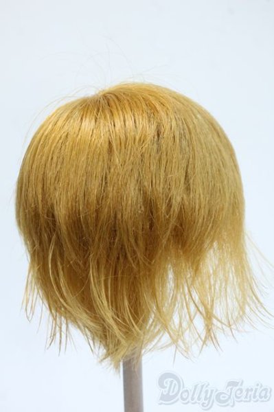 画像2: 9-10inch/ウィッグ Y-25-05-07-230-YD-ZY (2)