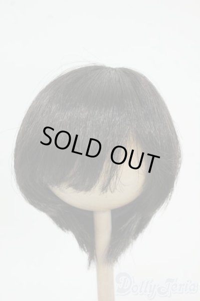 画像1: 8-9inch/ウィッグ Y-25-12-17-180-YD-ZY (1)