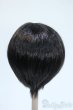 画像2: 8-9inch/ウィッグ Y-25-05-07-228-YD-ZY (2)