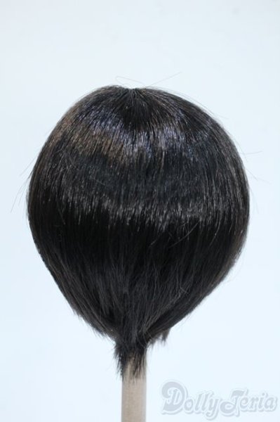 画像2: 8-9inch/ウィッグ Y-25-05-07-228-YD-ZY (2)