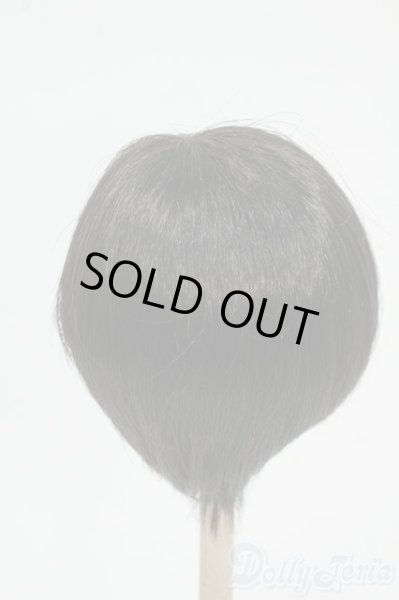 画像2: 8-9inch/ウィッグ Y-25-12-17-180-YD-ZY (2)