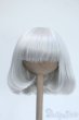 画像1: 7-8inch/ウィッグ Y-25-05-07-227-YD-ZY (1)