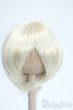 画像1: 6-7inch/ウィッグ Y-25-05-07-211-YD-ZY (1)