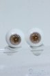 画像1: 14mm/グラスアイ Y-25-05-07-167-YD-ZY (1)